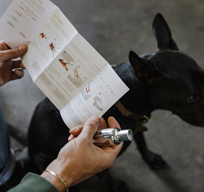 DIY Ceramic Coating Kit