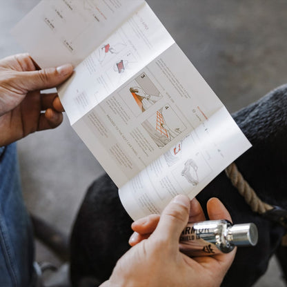 Armor Shield IX DIY Ceramic Coating Kit